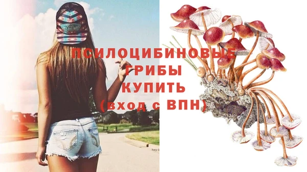 spice Белоозёрский