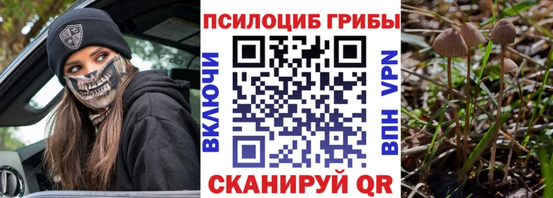 Псилоцибиновые грибы ЛСД Харовск